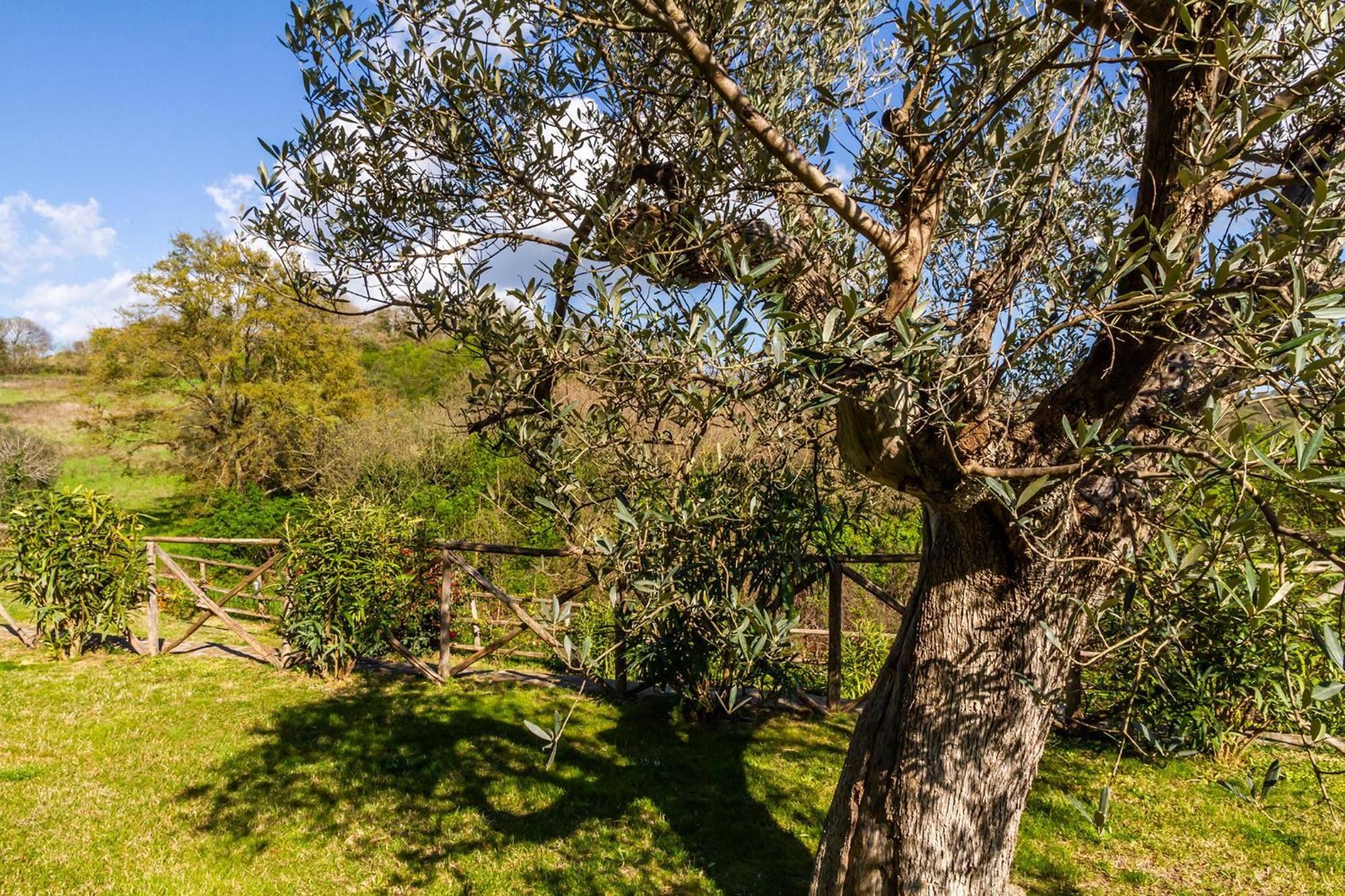 Home With A View In Scansano, Tuscany Exterior foto