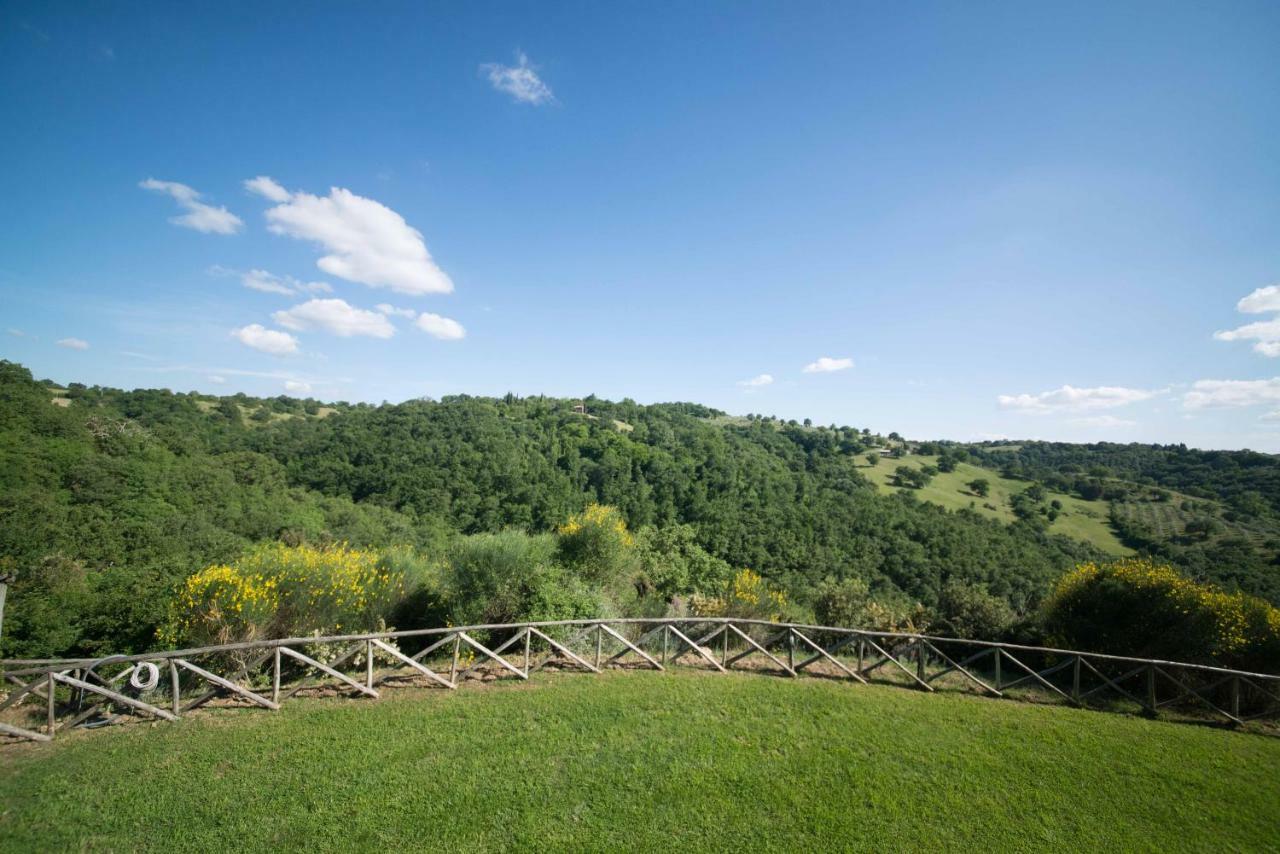 Home With A View In Scansano, Tuscany Exterior foto
